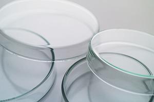 立川で受ける乳がん検診の最新事情2026年版｜安心・信頼の検診施設と受診のポイント